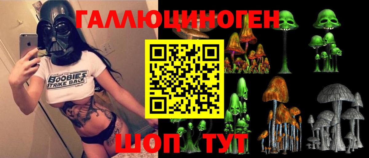 наркота  Галлюциногенные грибы GOLDEN TEACHER  Вход с VPN  Тверь 